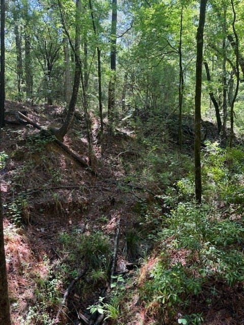 139.2 acres in ANDERSON County - photo 13