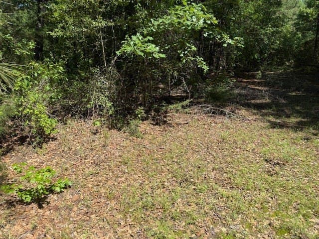 139.2 acres in ANDERSON County - photo 23