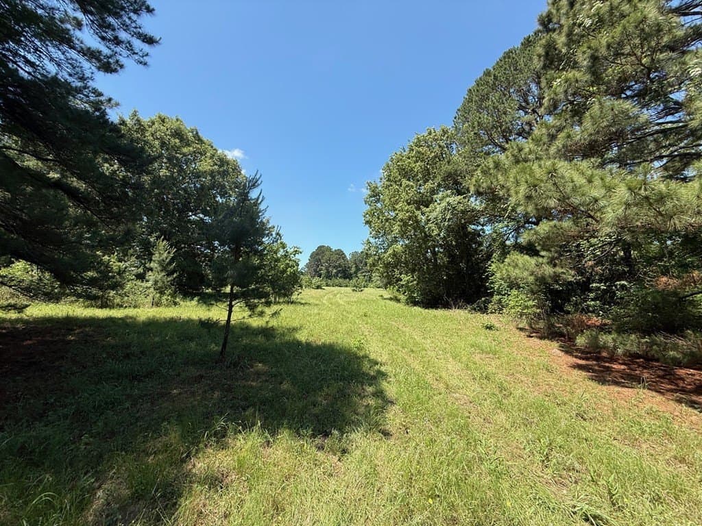 139.2 acres in ANDERSON County featured view
