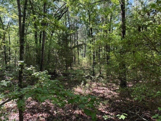 139.2 acres in ANDERSON County - photo 16