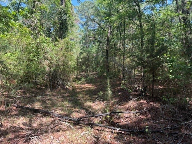 139.2 acres in ANDERSON County - photo 18