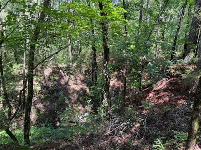 139.2 acres in ANDERSON County - photo 15