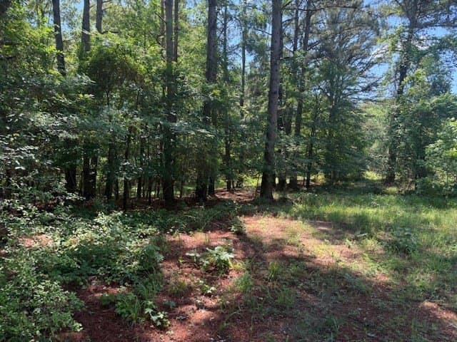 139.2 acres in ANDERSON County - photo 10