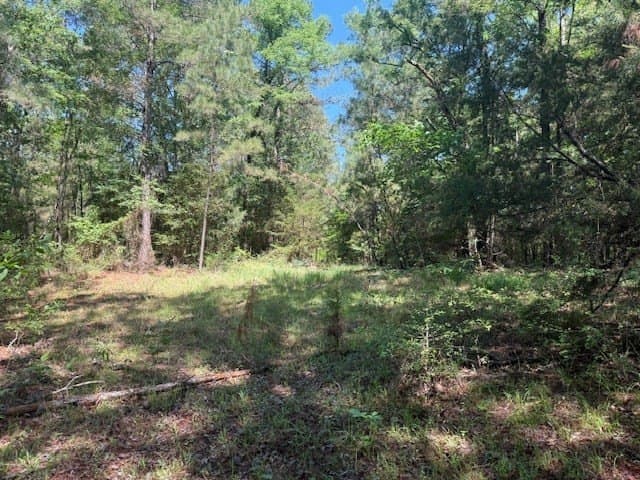 139.2 acres in ANDERSON County - photo 19