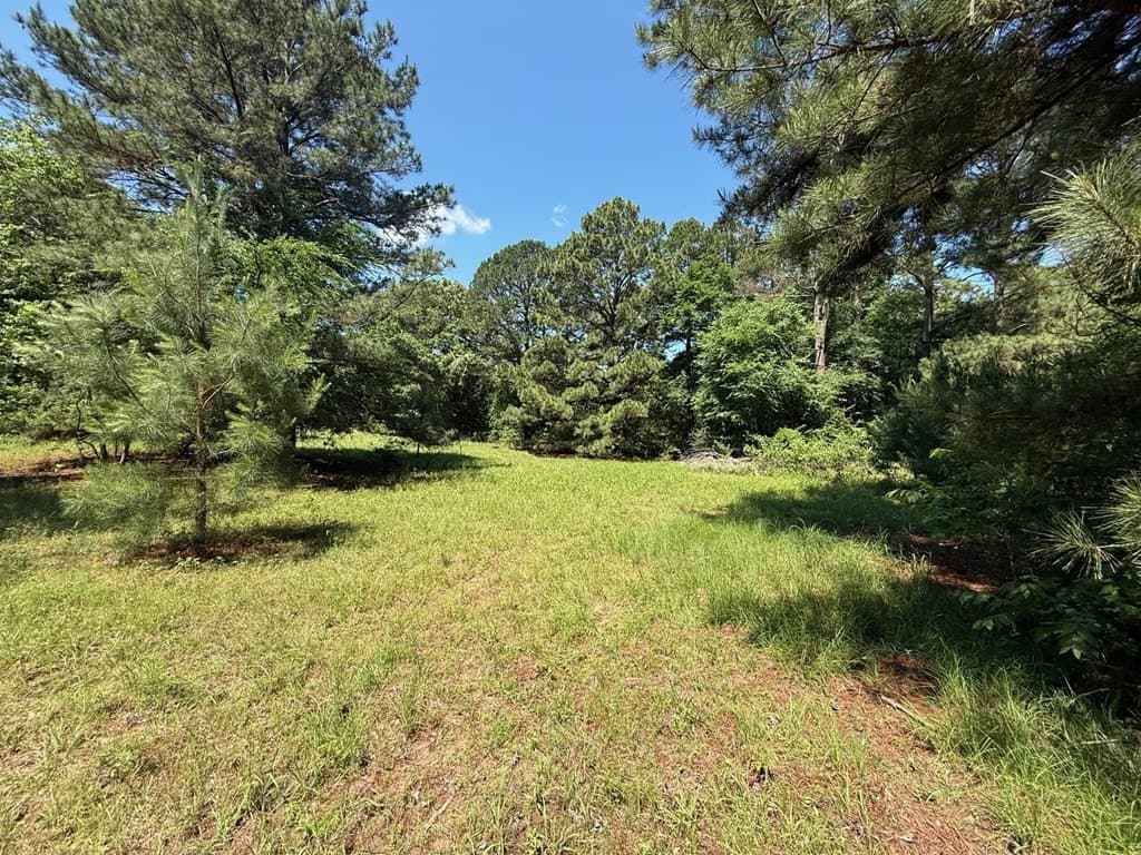 139.2 acres in ANDERSON County gallery image 3