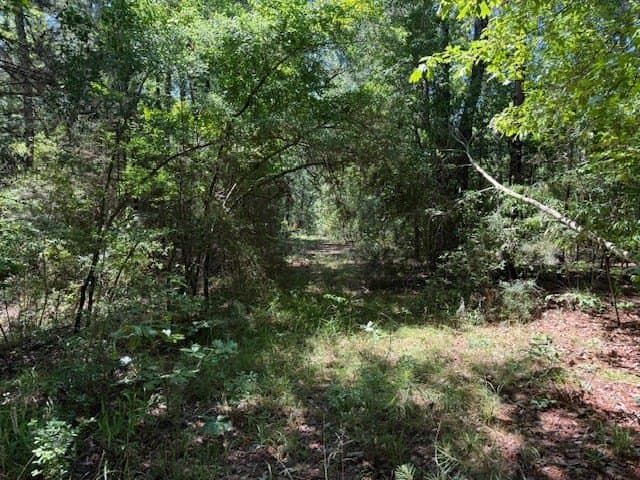 139.2 acres in ANDERSON County - photo 29