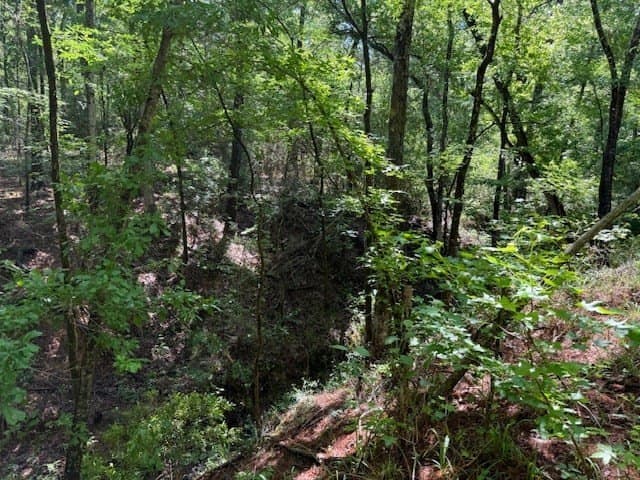 139.2 acres in ANDERSON County - photo 11