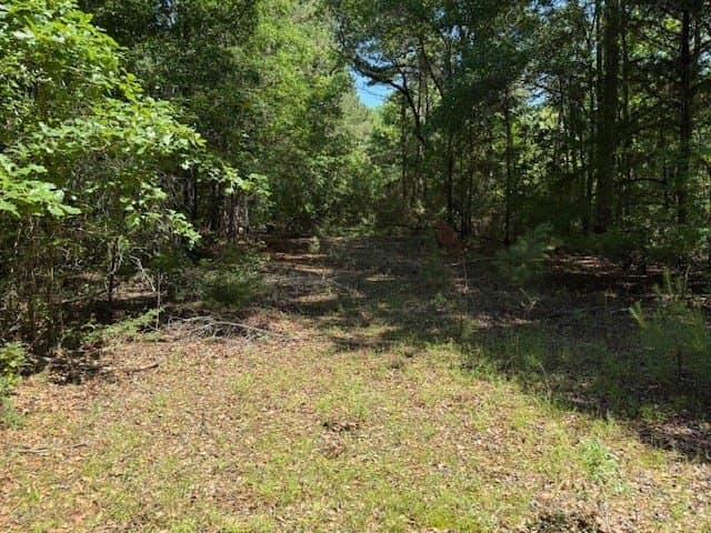 139.2 acres in ANDERSON County - photo 22