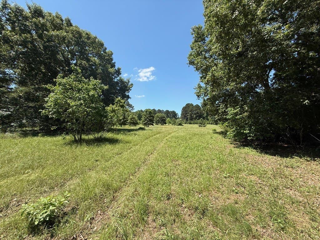 139.2 acres in ANDERSON County gallery image 4