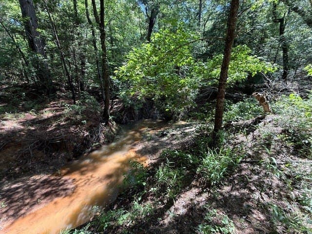 139.2 acres in ANDERSON County - photo 27