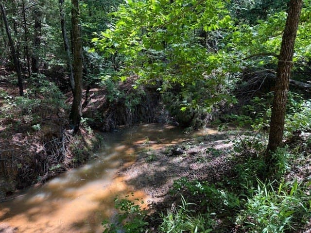139.2 acres in ANDERSON County - photo 28