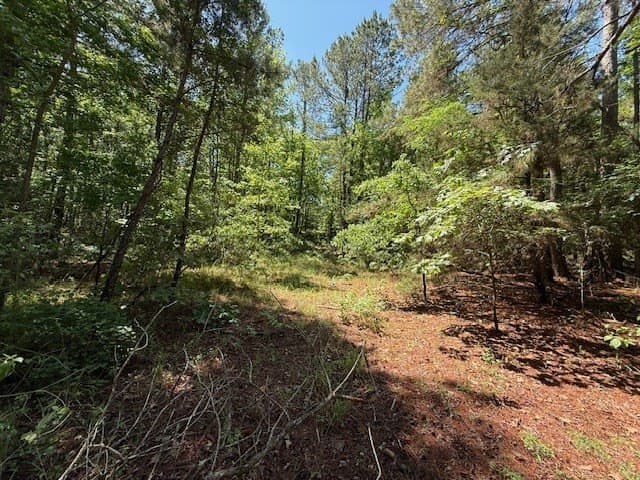 139.2 acres in ANDERSON County - photo 31