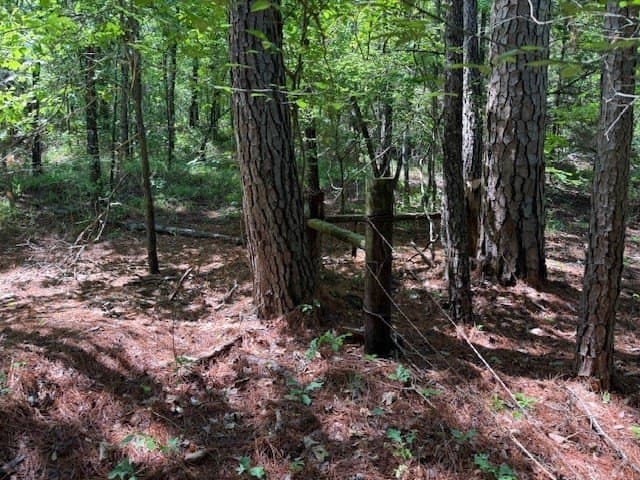 139.2 acres in ANDERSON County - photo 32