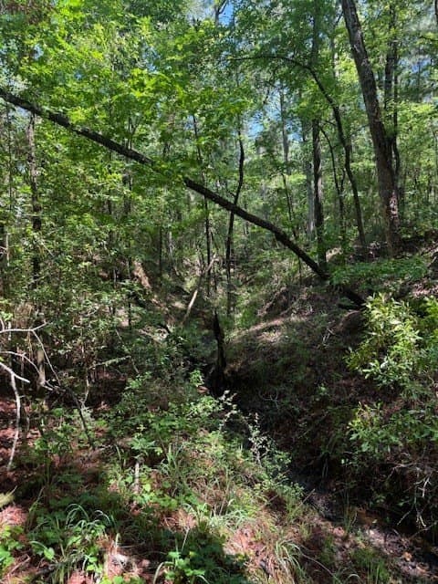 139.2 acres in ANDERSON County - photo 14