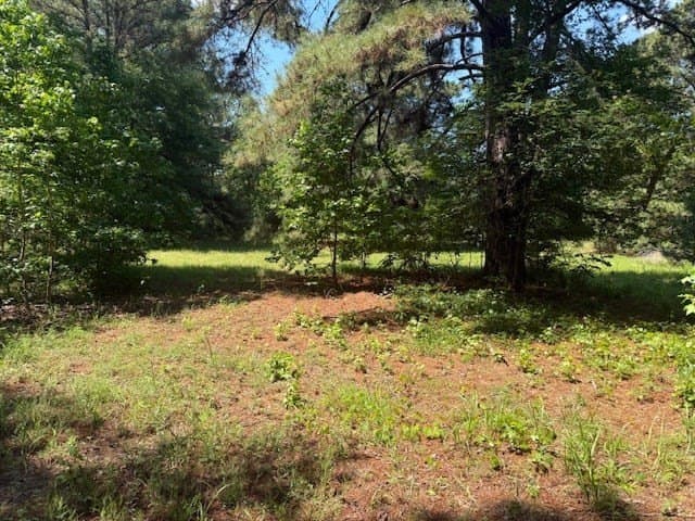 139.2 acres in ANDERSON County - photo 6