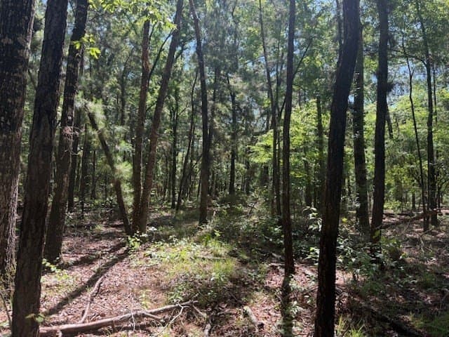 139.2 acres in ANDERSON County - photo 17