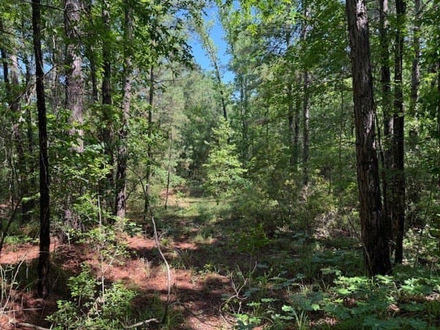 139.2 acres in ANDERSON County - photo 21