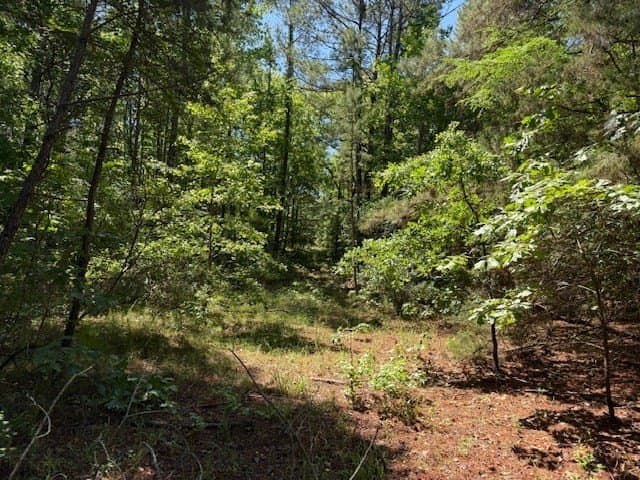 139.2 acres in ANDERSON County - photo 30