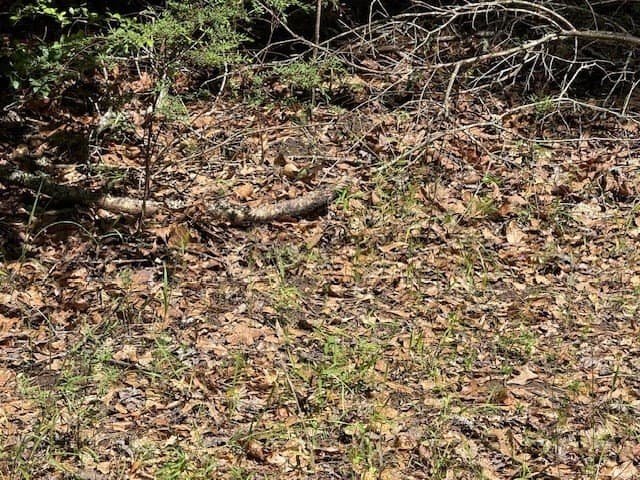 139.2 acres in ANDERSON County - photo 24
