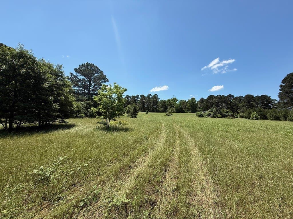 139.2 acres in ANDERSON County - photo 9