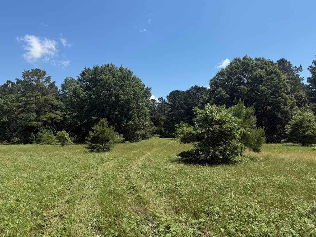 139.2 acres in ANDERSON County gallery image 2
