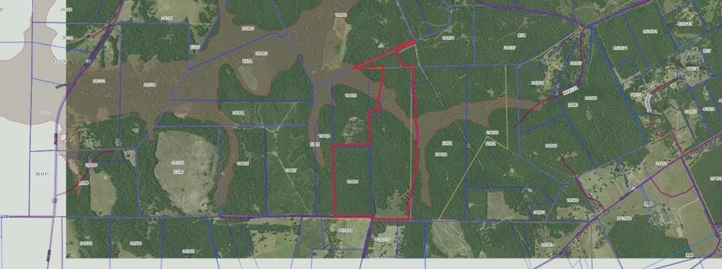 139.2 acres in ANDERSON County - photo 34