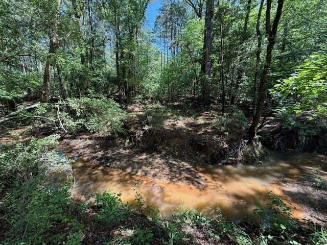 139.2 acres in ANDERSON County - photo 26