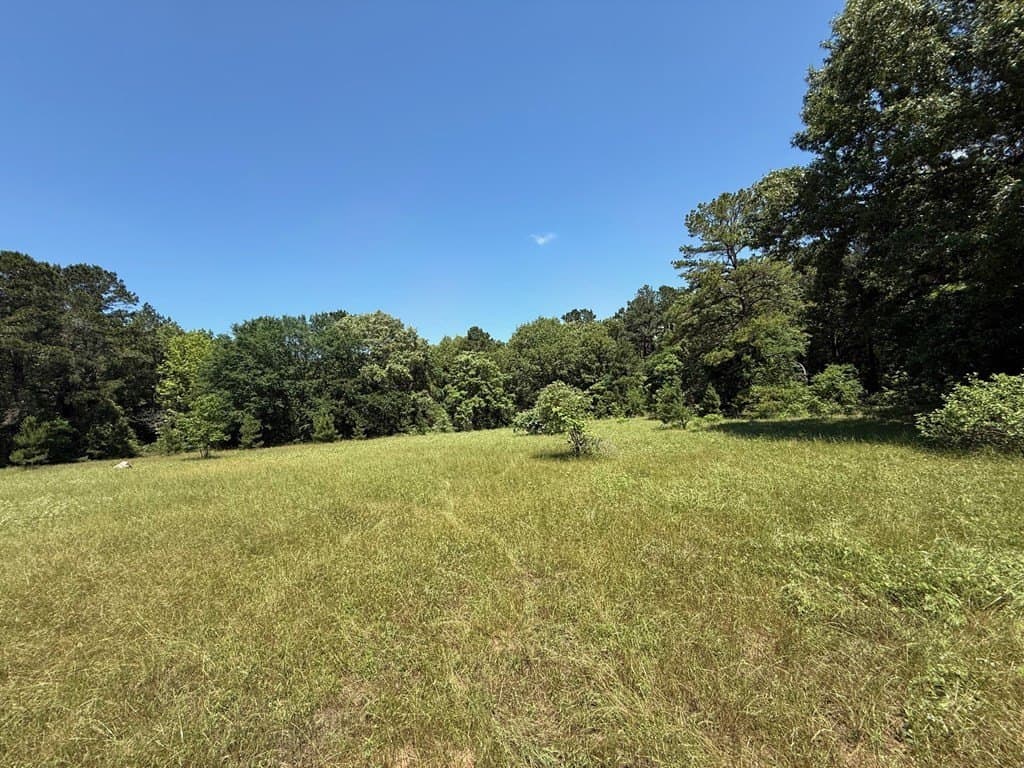 139.2 acres in ANDERSON County - photo 7
