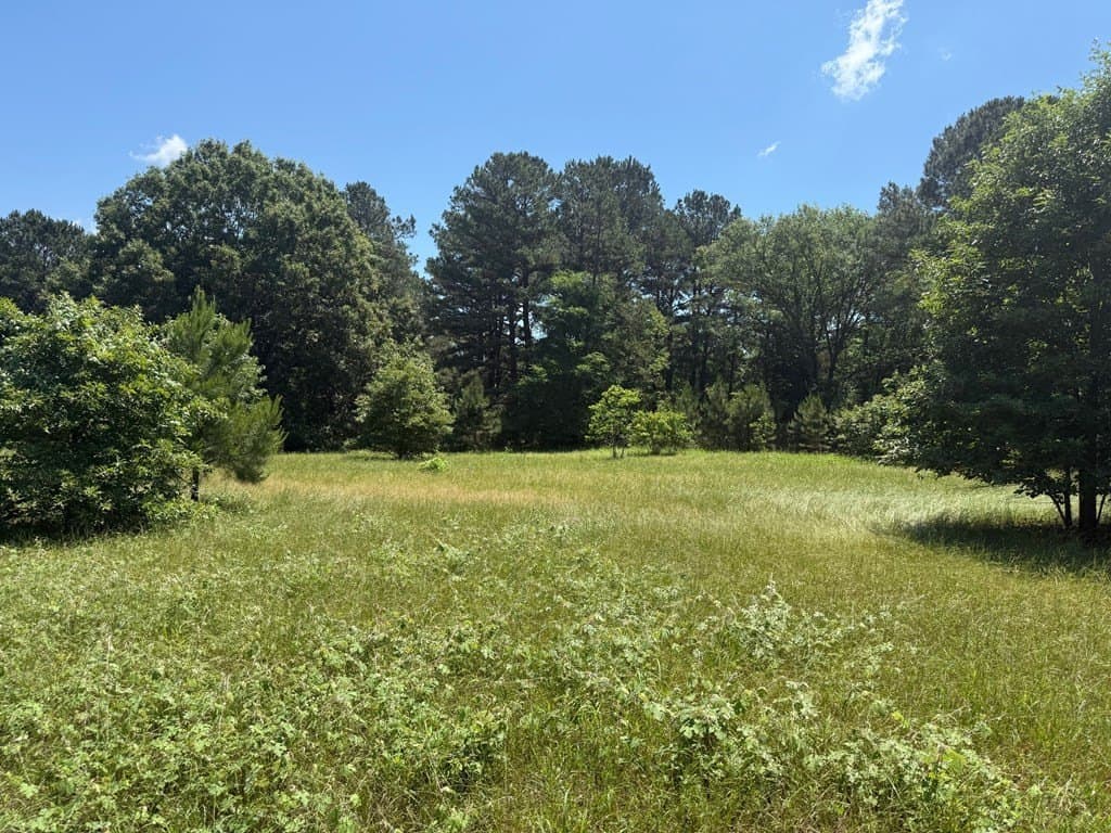 139.2 acres in ANDERSON County - photo 8