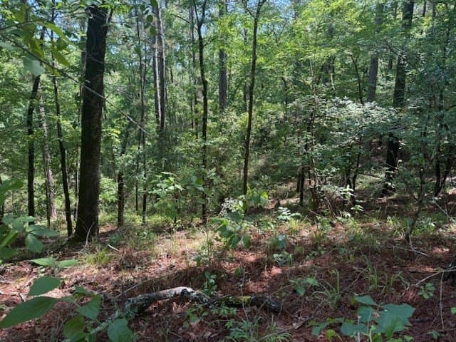 139.2 acres in ANDERSON County - photo 20
