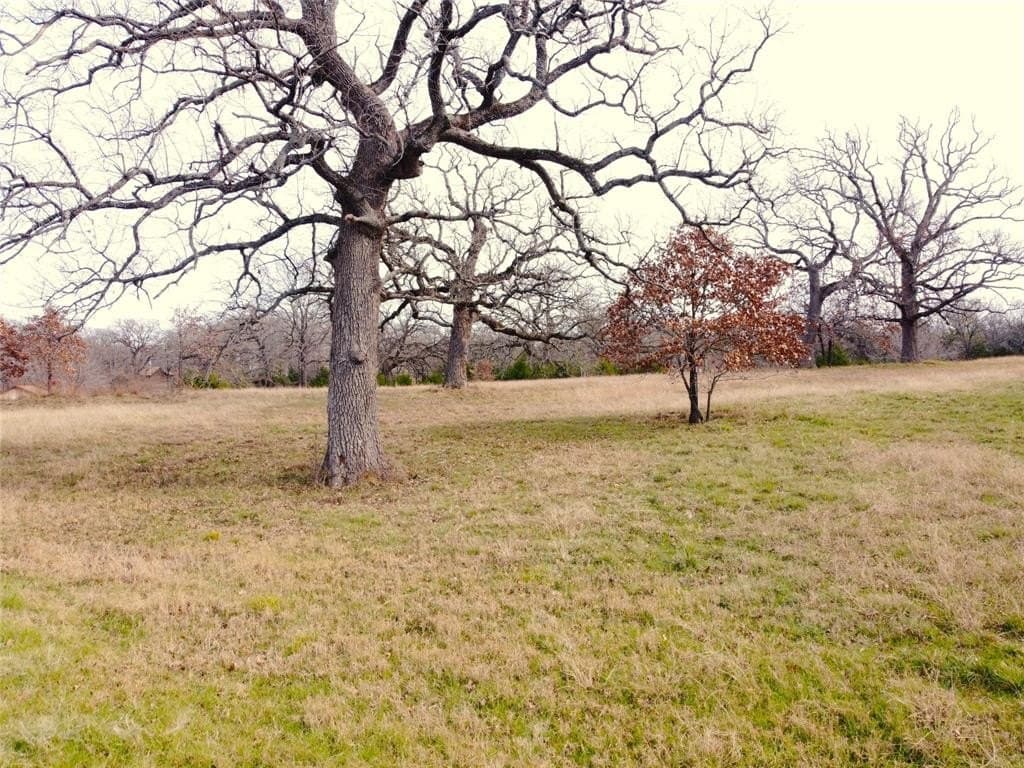 2.5 acres in Navarro County gallery image 2