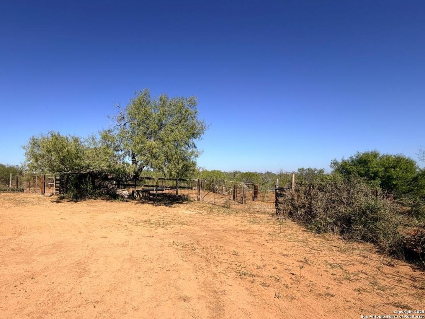 71.85 acres in Atascosa County - photo 16