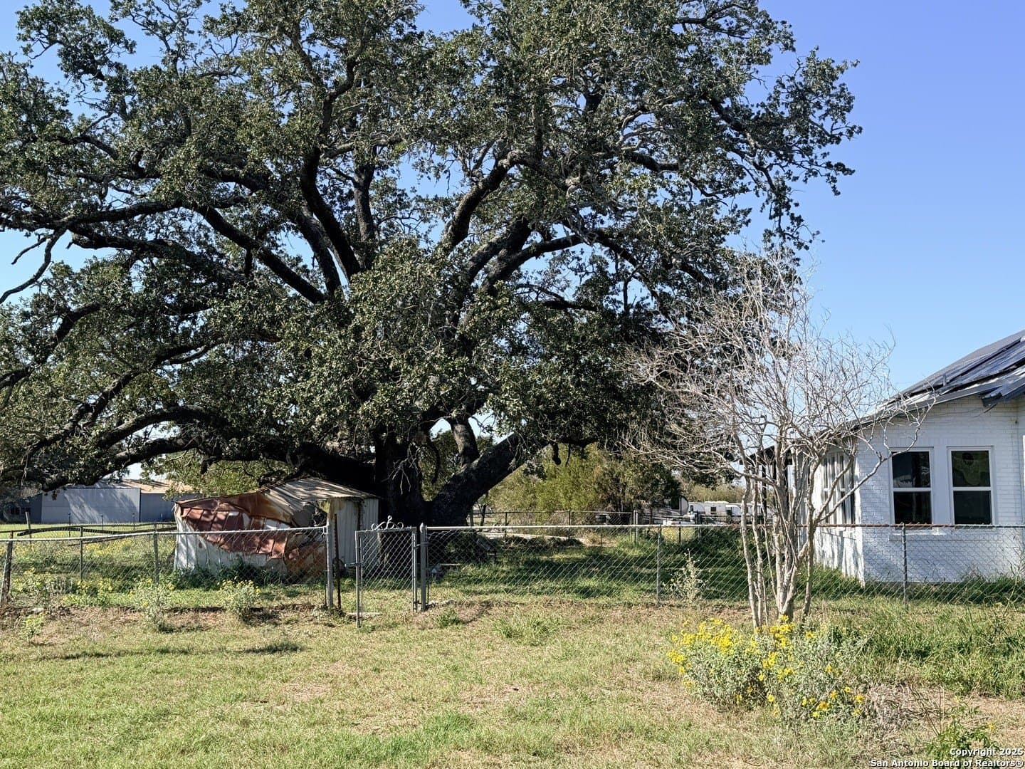 71.85 acres in Atascosa County - photo 7