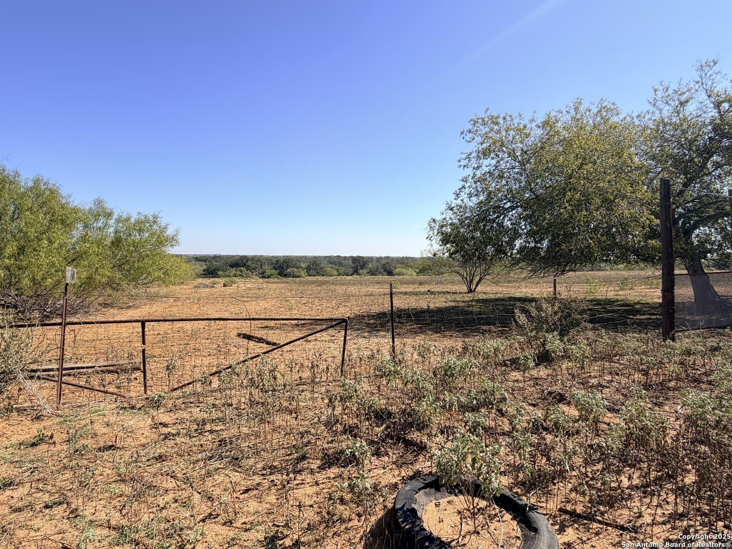 71.85 acres in Atascosa County - photo 15