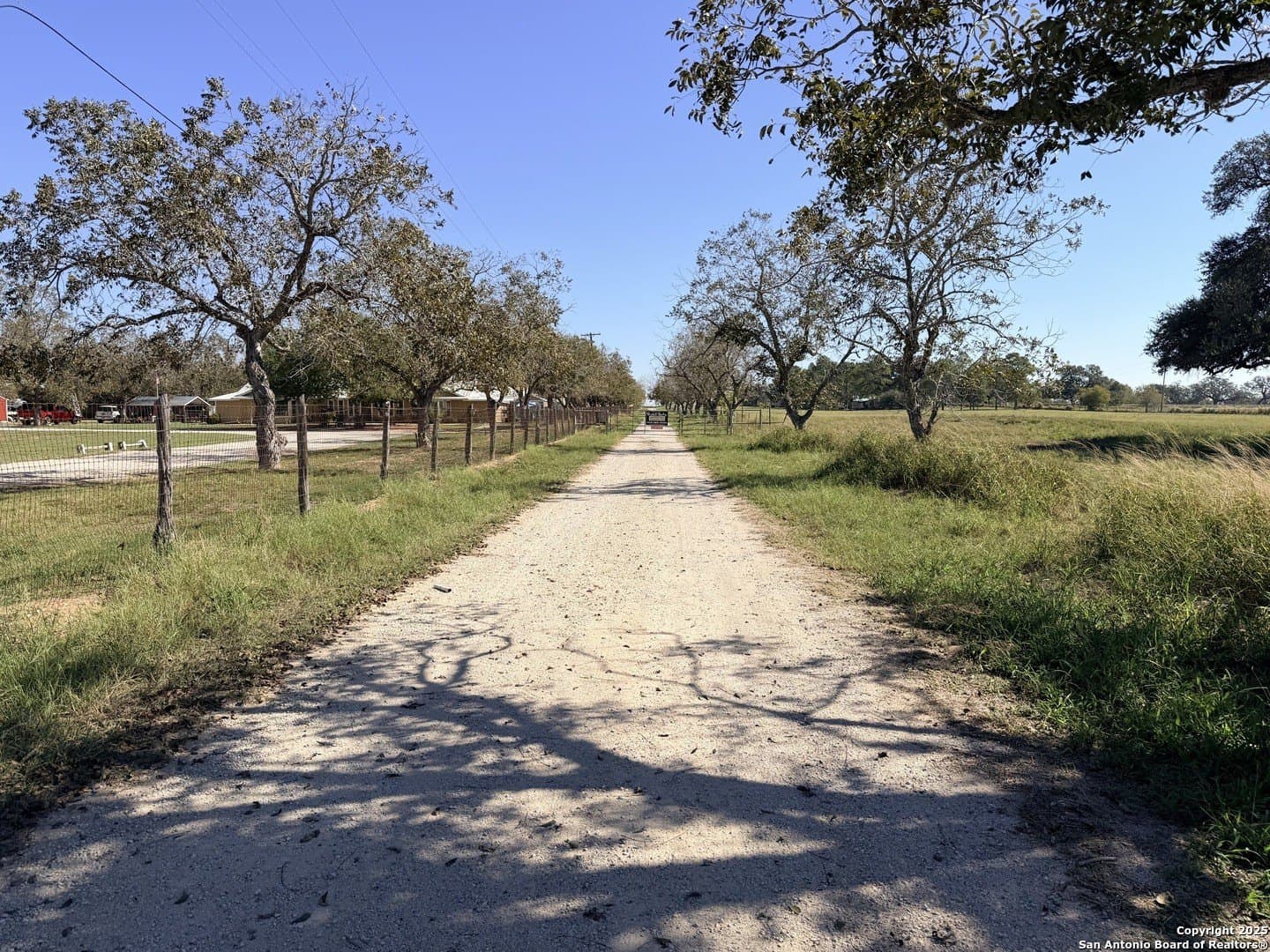 71.85 acres in Atascosa County gallery image 2