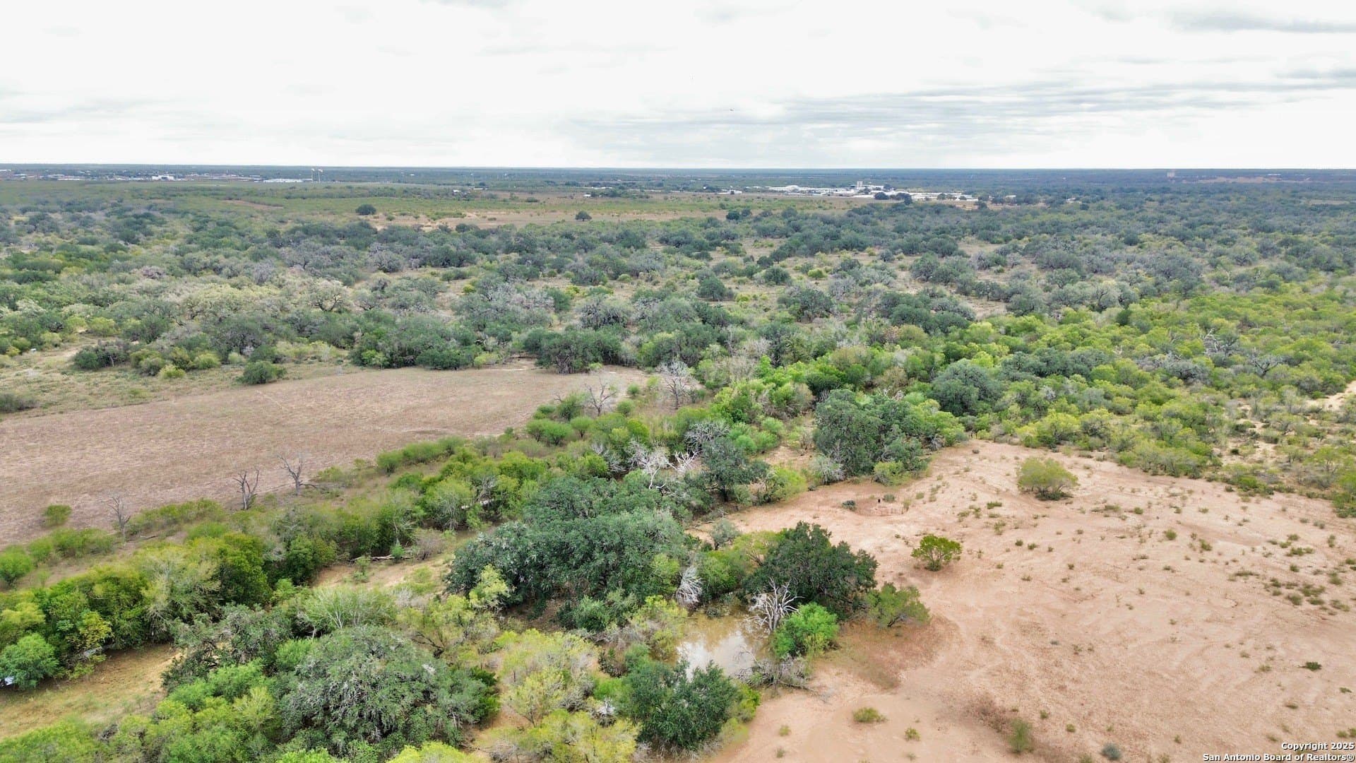 71.85 acres in Atascosa County - photo 26