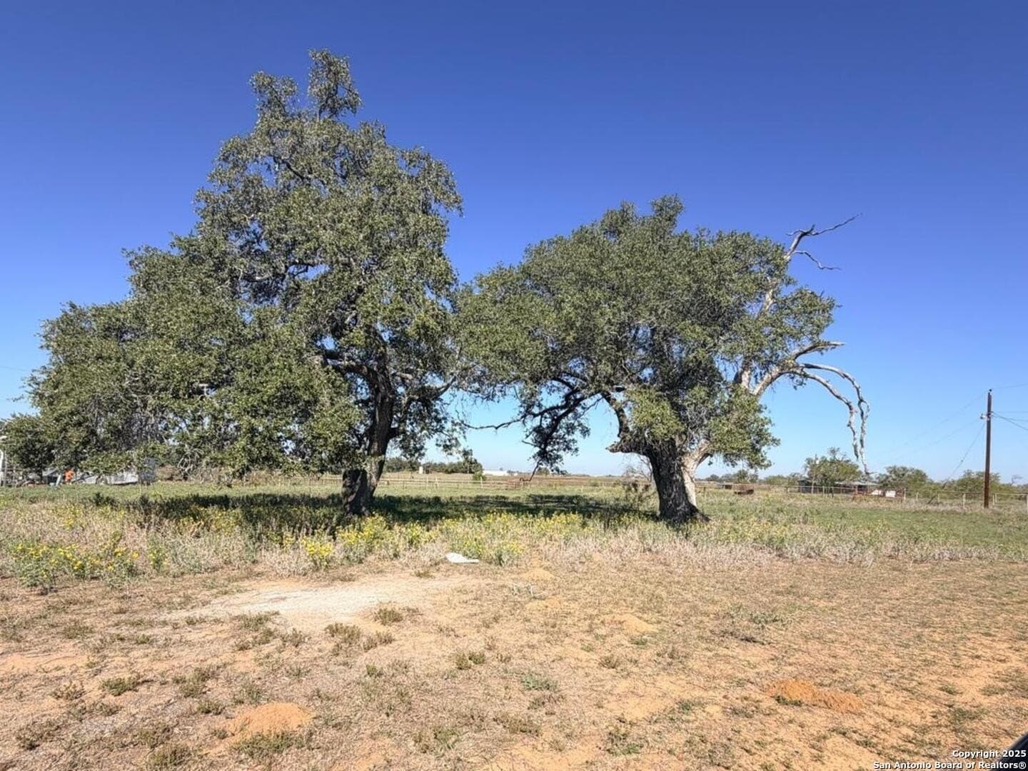 71.85 acres in Atascosa County - photo 14