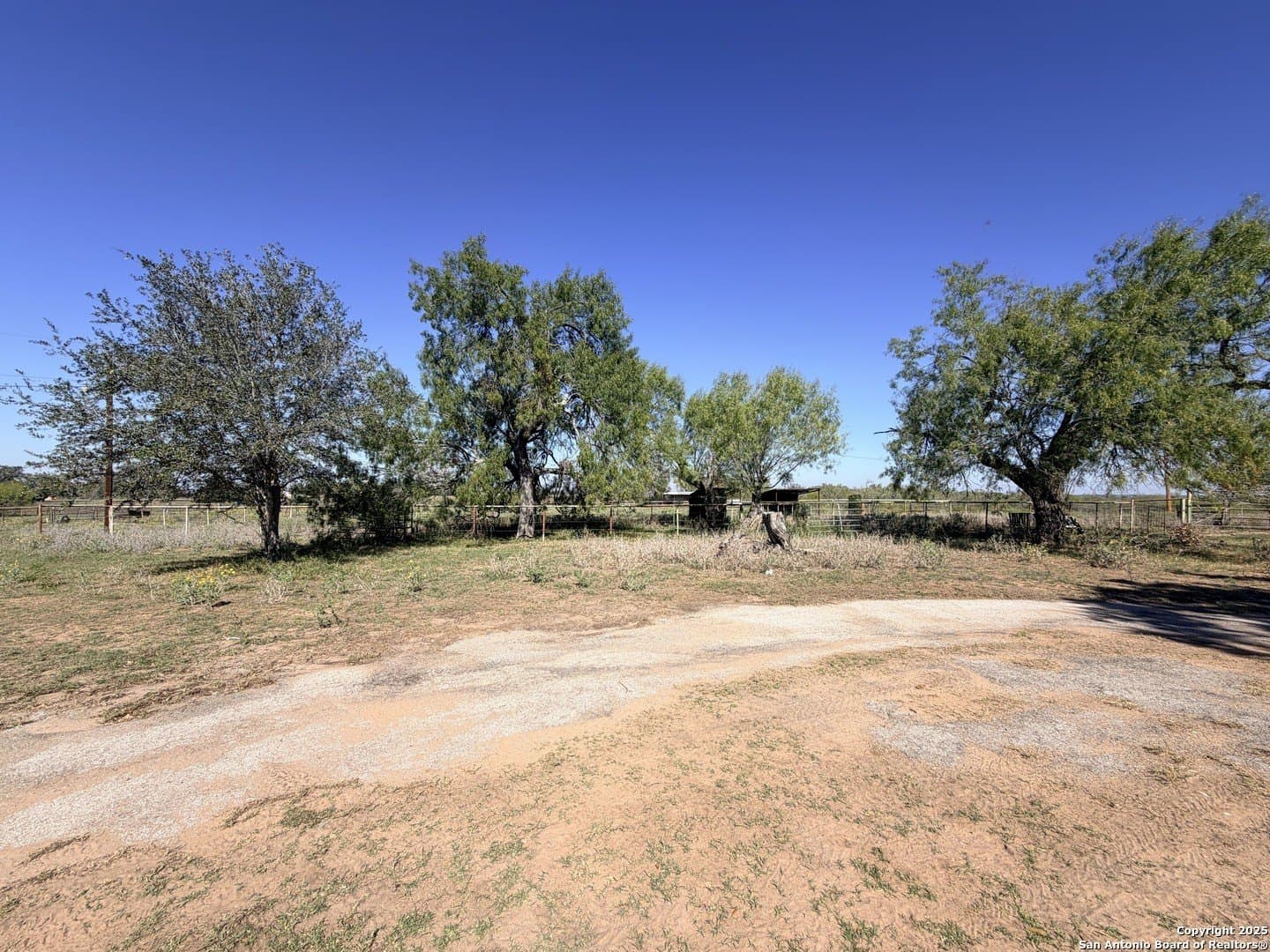 71.85 acres in Atascosa County gallery image 4