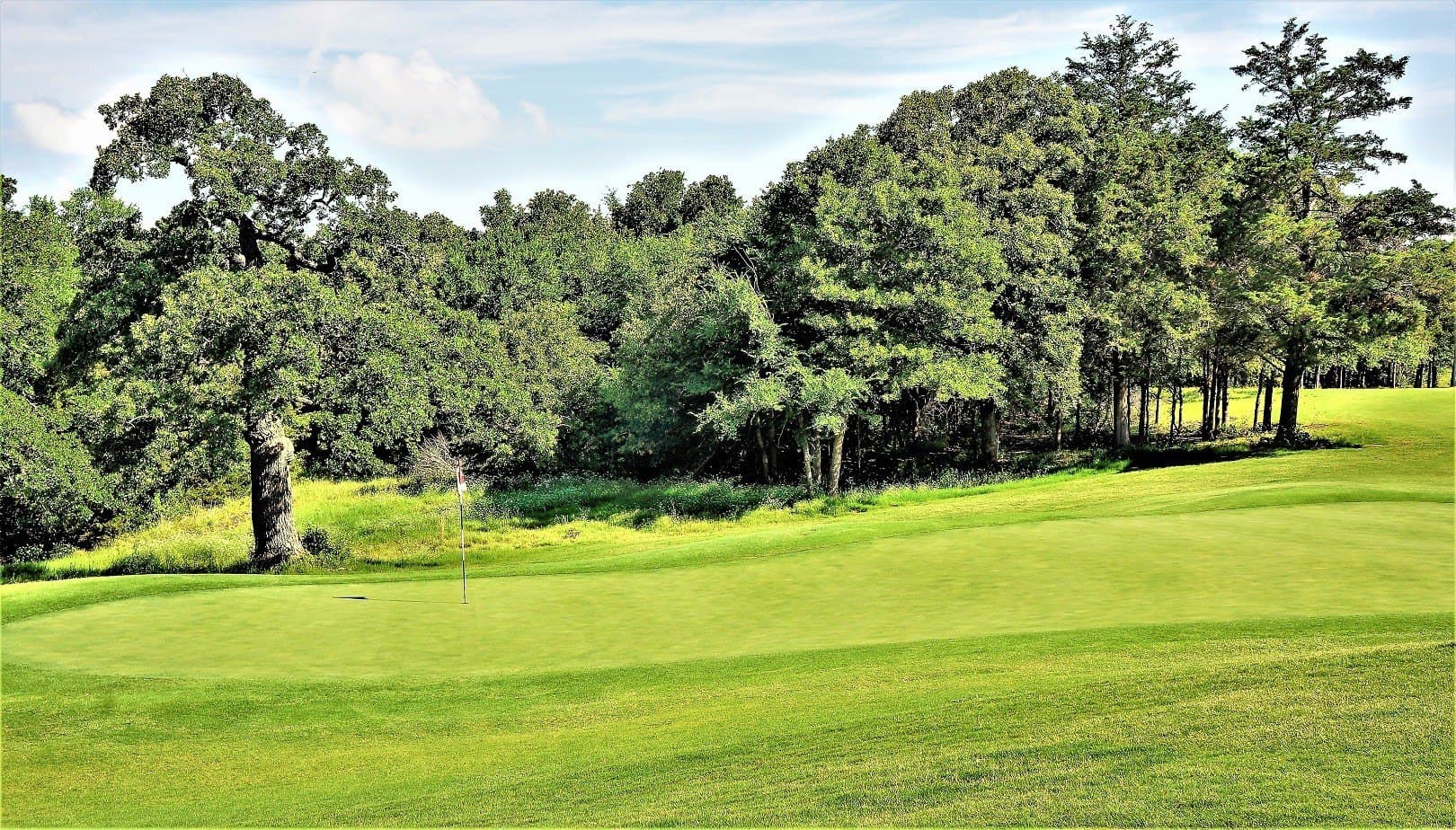 0.17 acres in Grayson County - photo 26