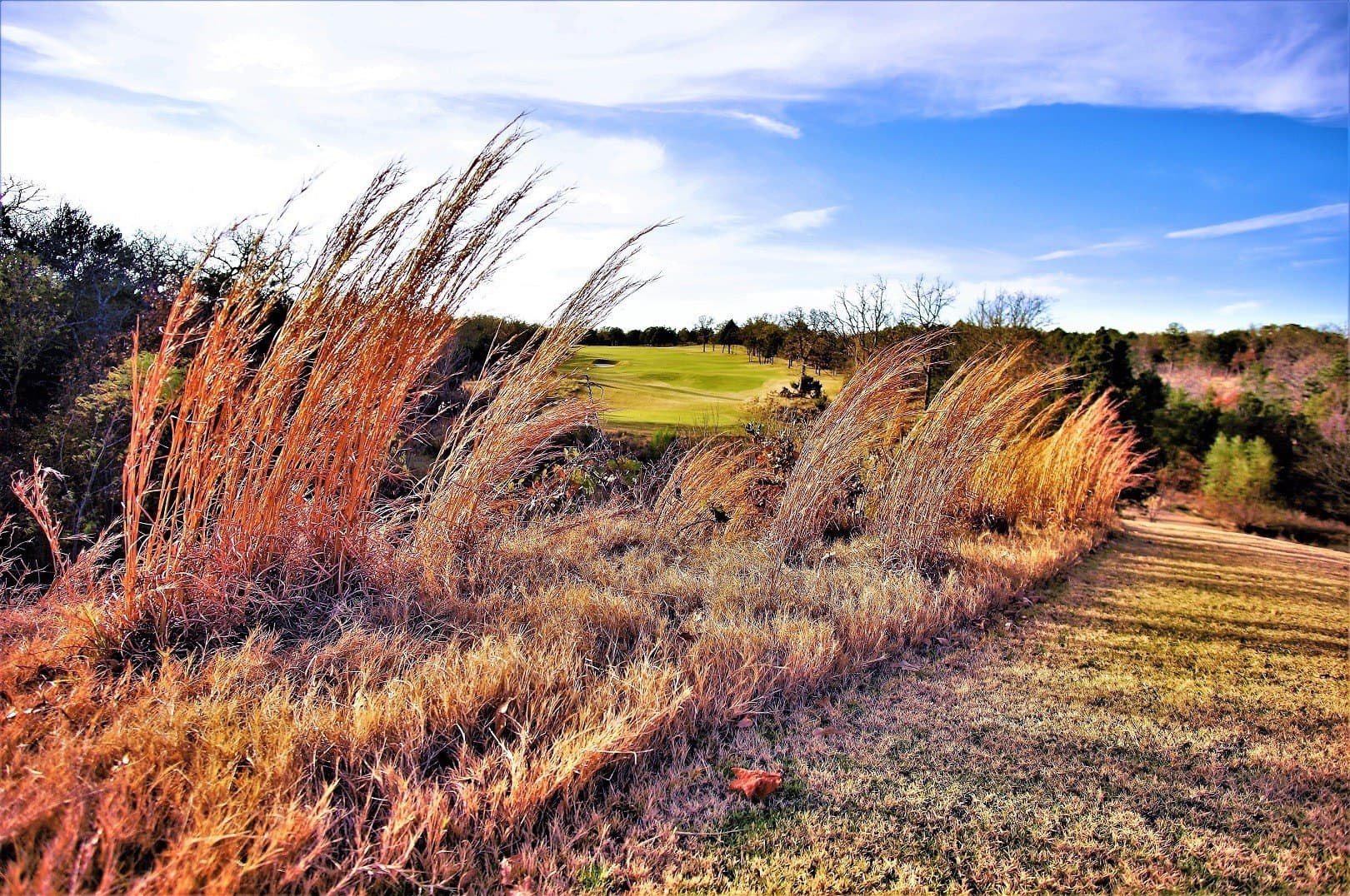 0.17 acres in Grayson County - photo 8