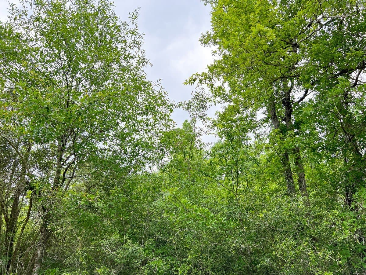 47 acres in Hardin County