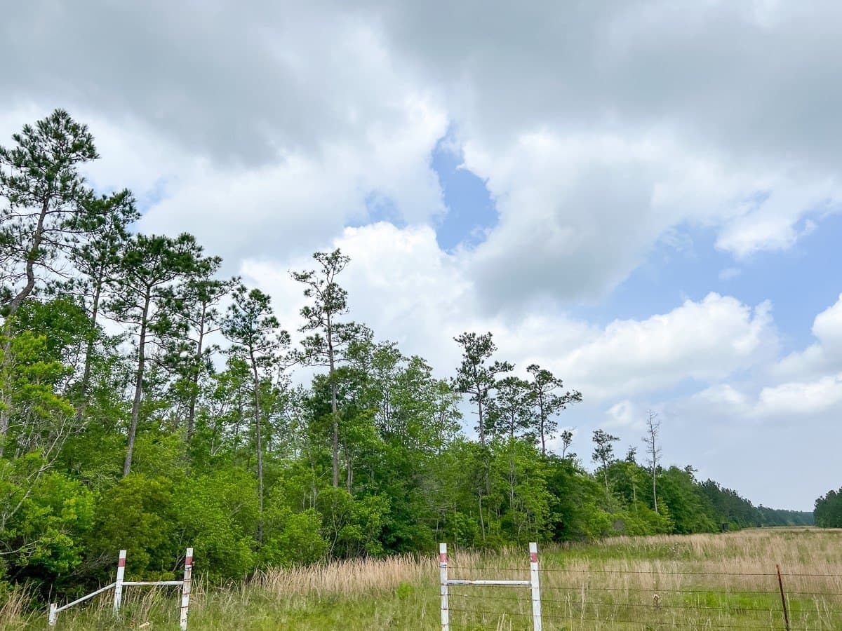 47 acres in Hardin County - photo 3