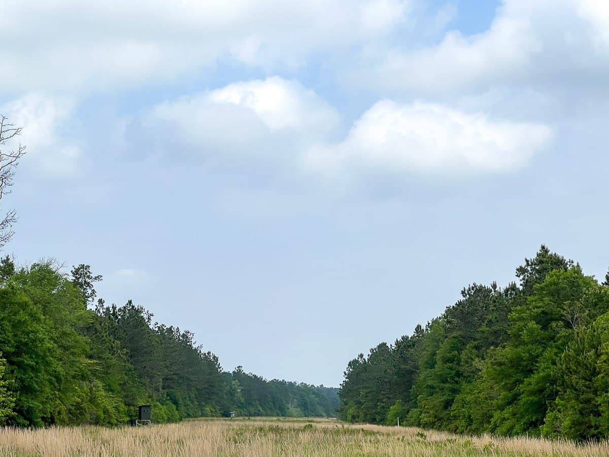 47 acres in Hardin County - photo 4