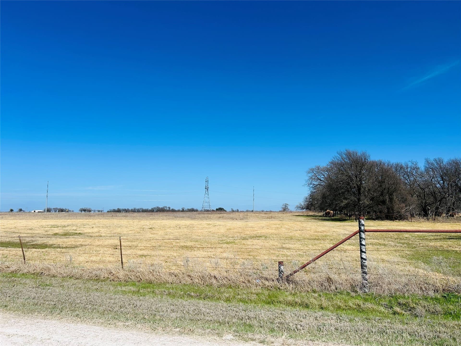 11.75 acres in Hill County - photo 6