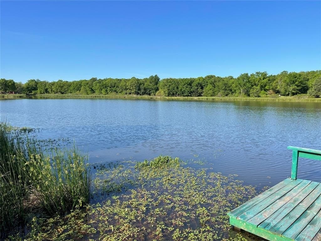 4.4 acres in Rains County gallery image 4