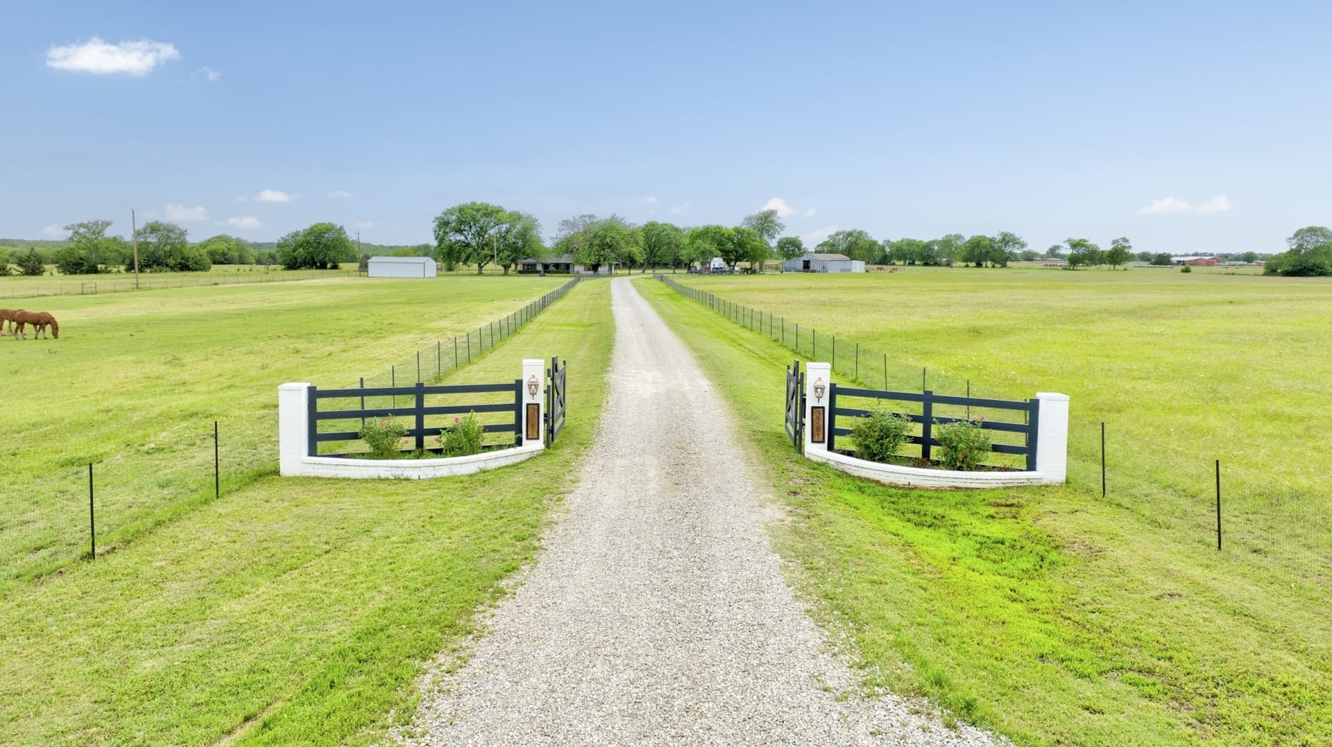 31.2 acres in Fannin County gallery image 2