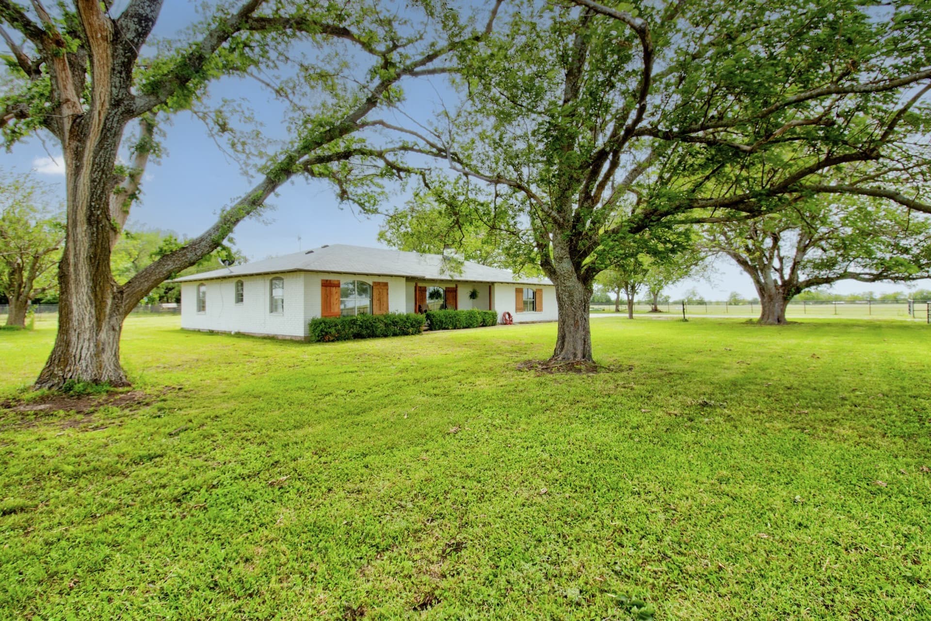 31.2 acres in Fannin County gallery image 4