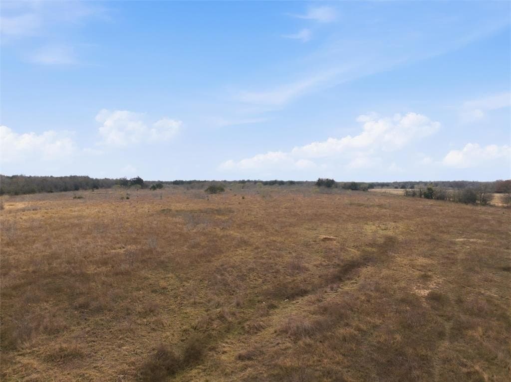 60.64 acres in Limestone County gallery image 2