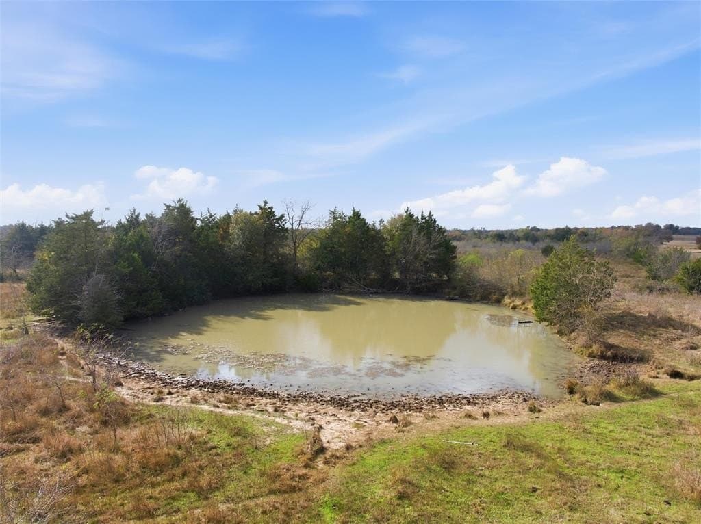 60.64 acres in Limestone County gallery image 3