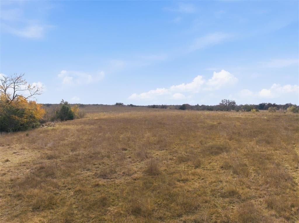 60.64 acres in Limestone County gallery image 4